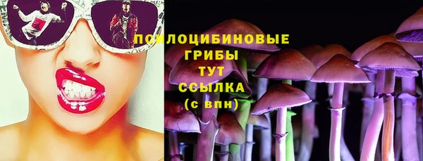 прущие крисы Балахна