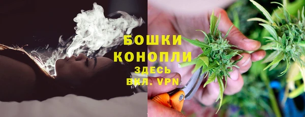 прущие крисы Балахна